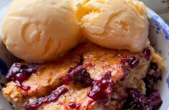 BLUEBERRY PUDDING CAKE – The South...
