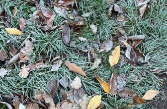 How you can Beat the Winter Blues… —...