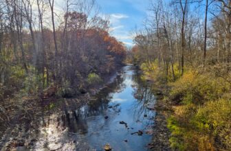 The Little Issues E-newsletter #497 &#82...