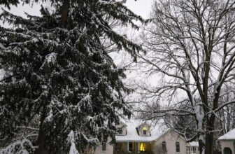 The Little Issues E-newsletter #498 R...