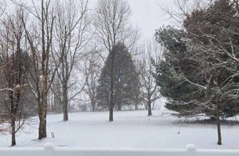 The Little Issues E-newsletter #499 &#82...